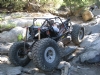 BV Carnage - BV Carnage