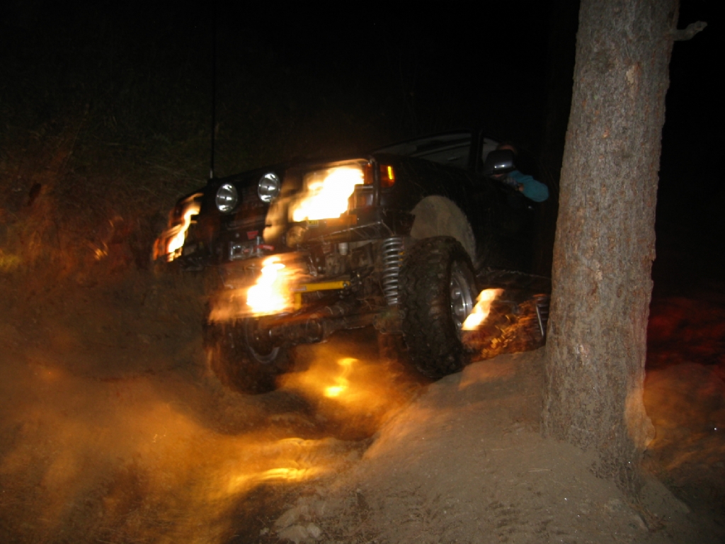 Carnage Night Run - 