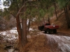 Carnage Canyon - 